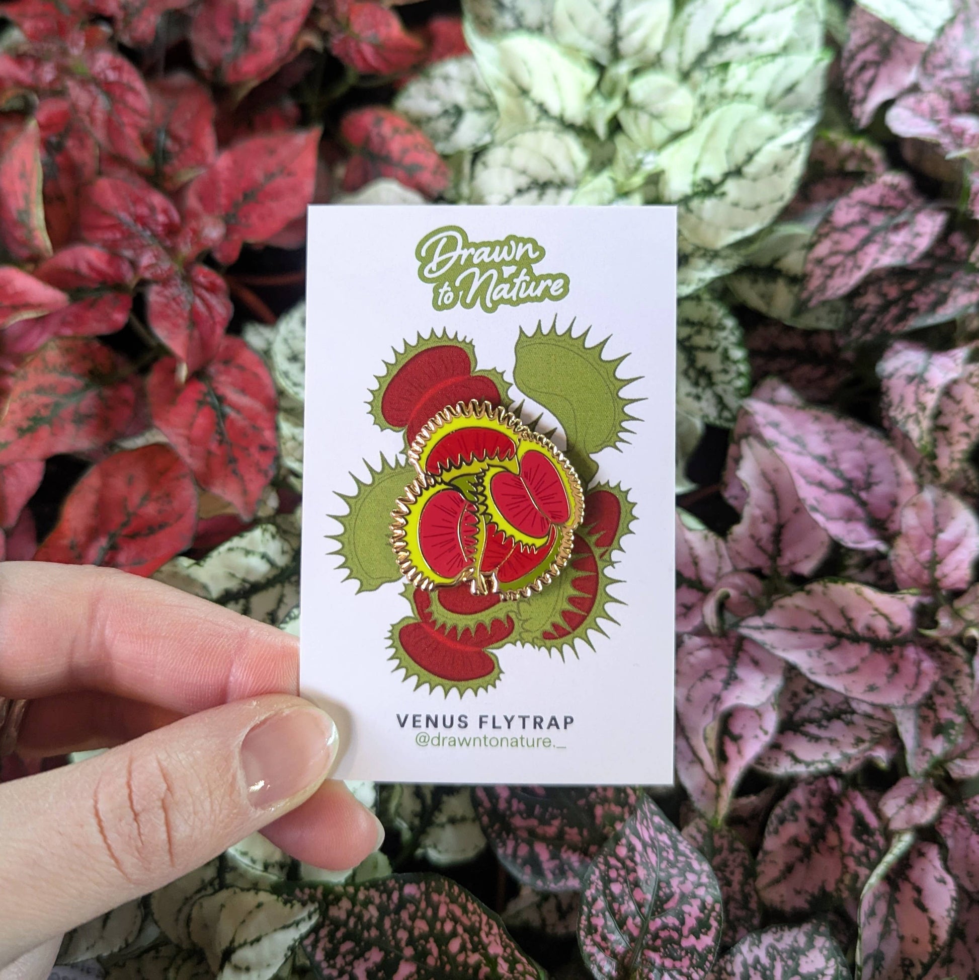 Venus Flytrap Enamel Pin - Flower Pin - Nature Pins