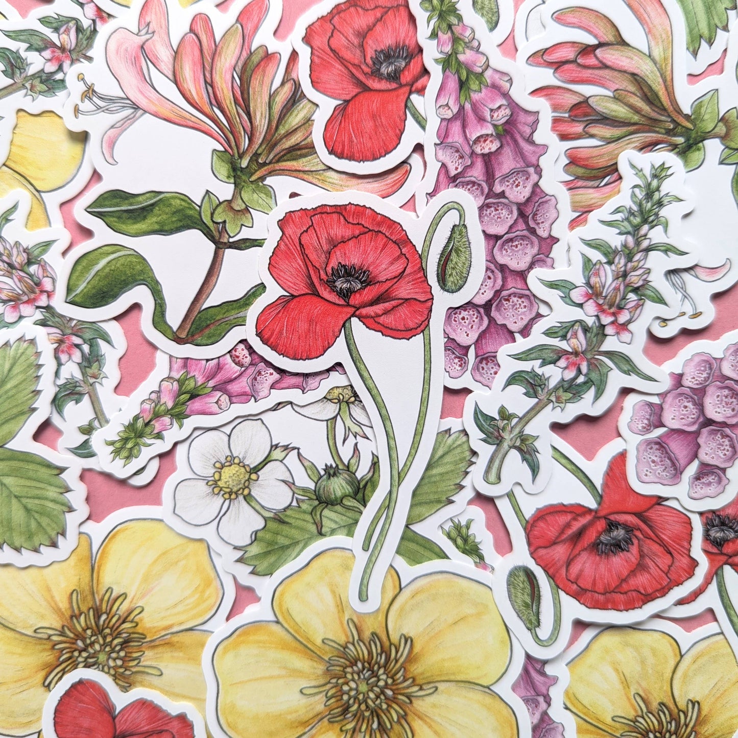 Wildflowers - Sticker Pack