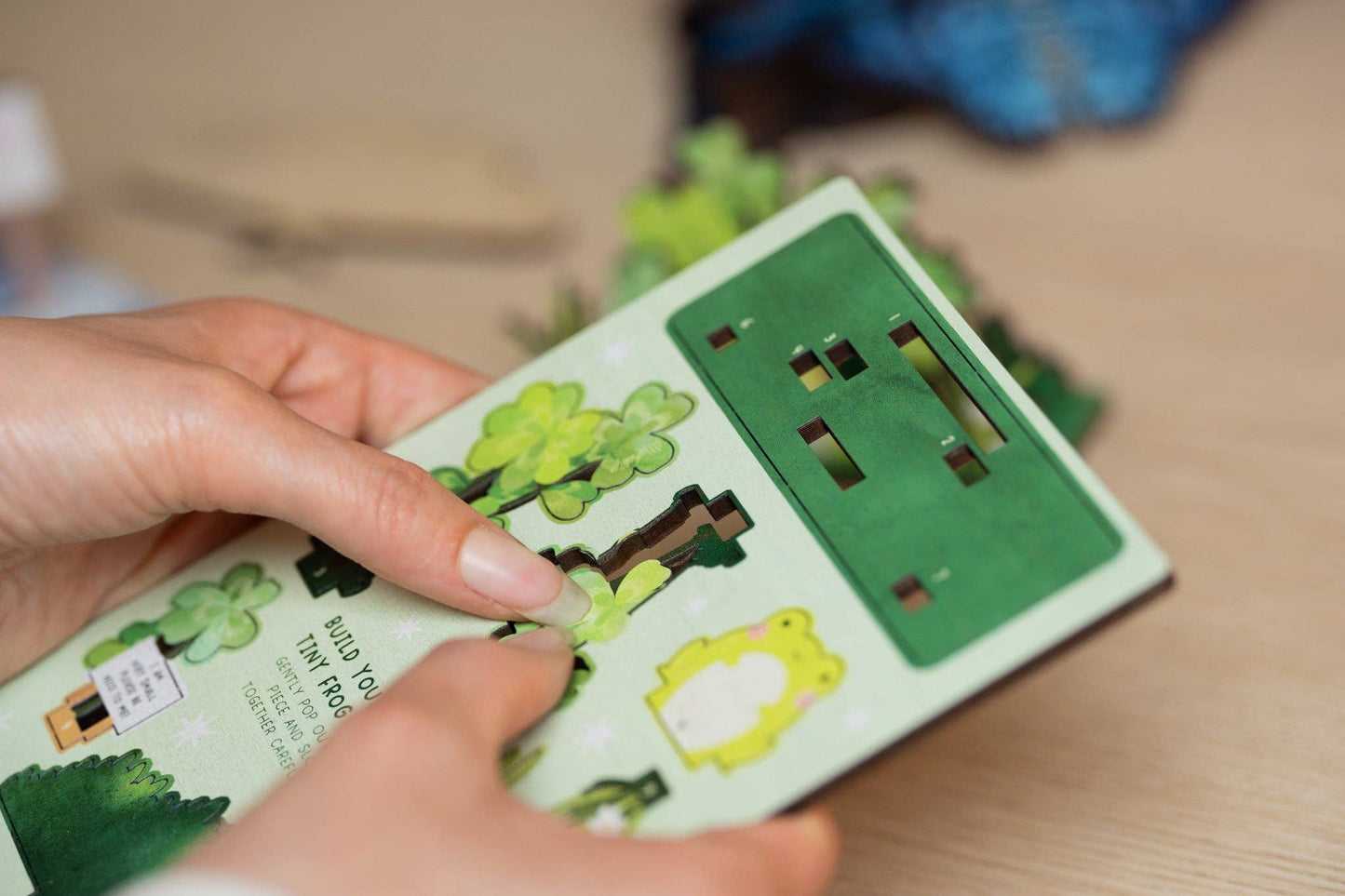 Please Be Nice To Me - Frog - Pop Out Card