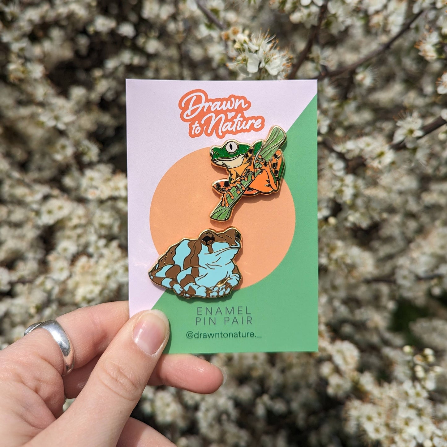 Frog Enamel Pin Pair - Tree Frog & Milk Frog - Nature Pins