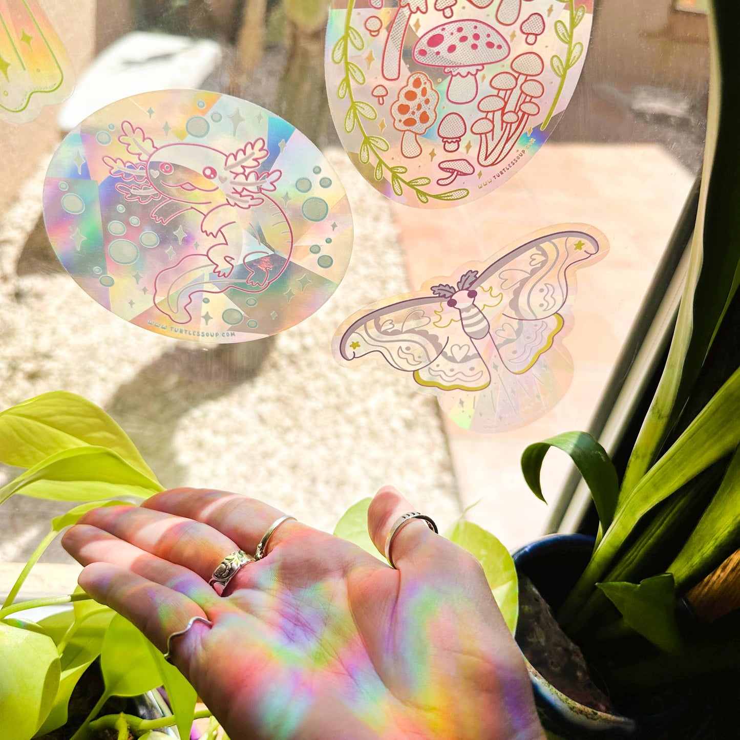 Mushrooms Fungi - Suncatcher