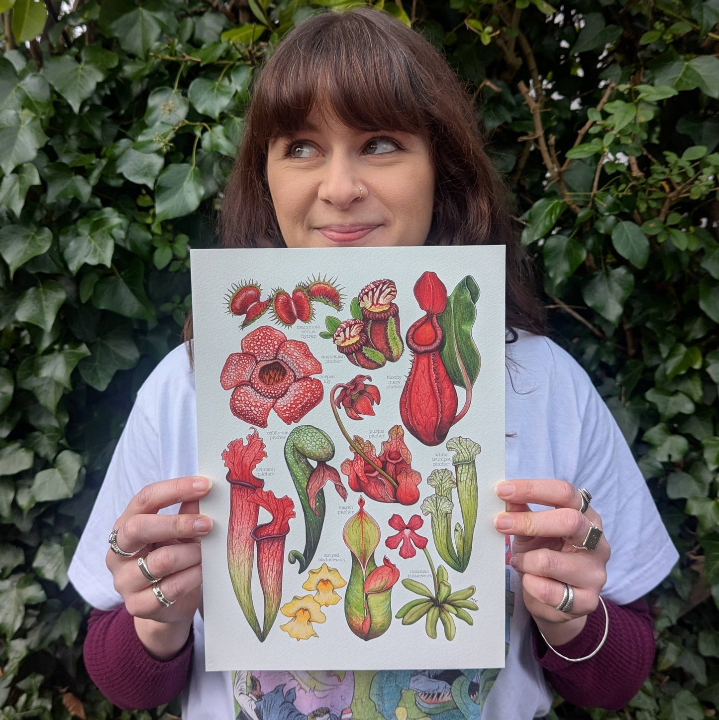 Carnivorous Plants - Print
