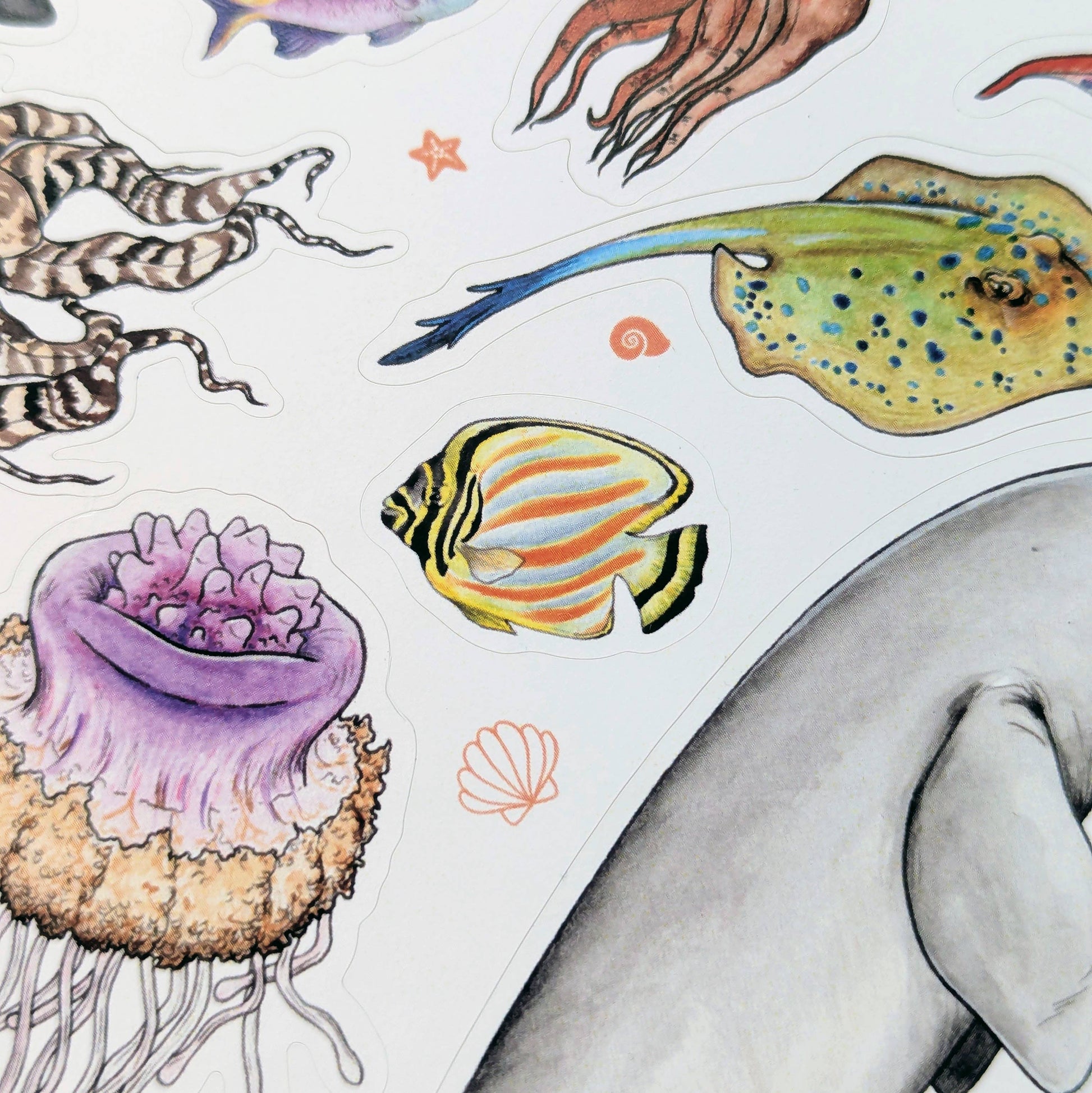 Sea Creatures - Sticker Sheet