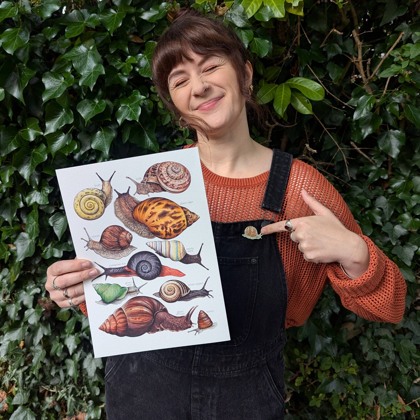 Land Snails - Print