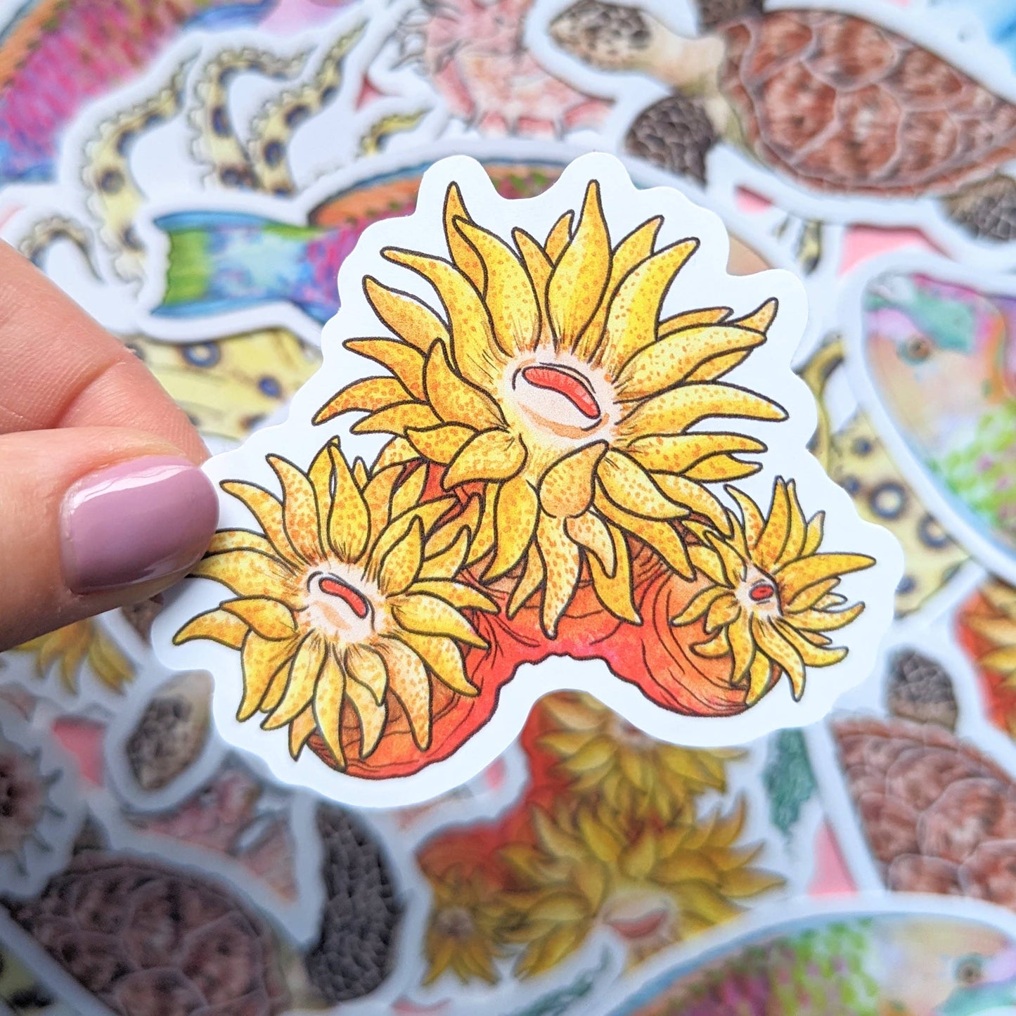 Great Barrier Reef - Stickers Pack