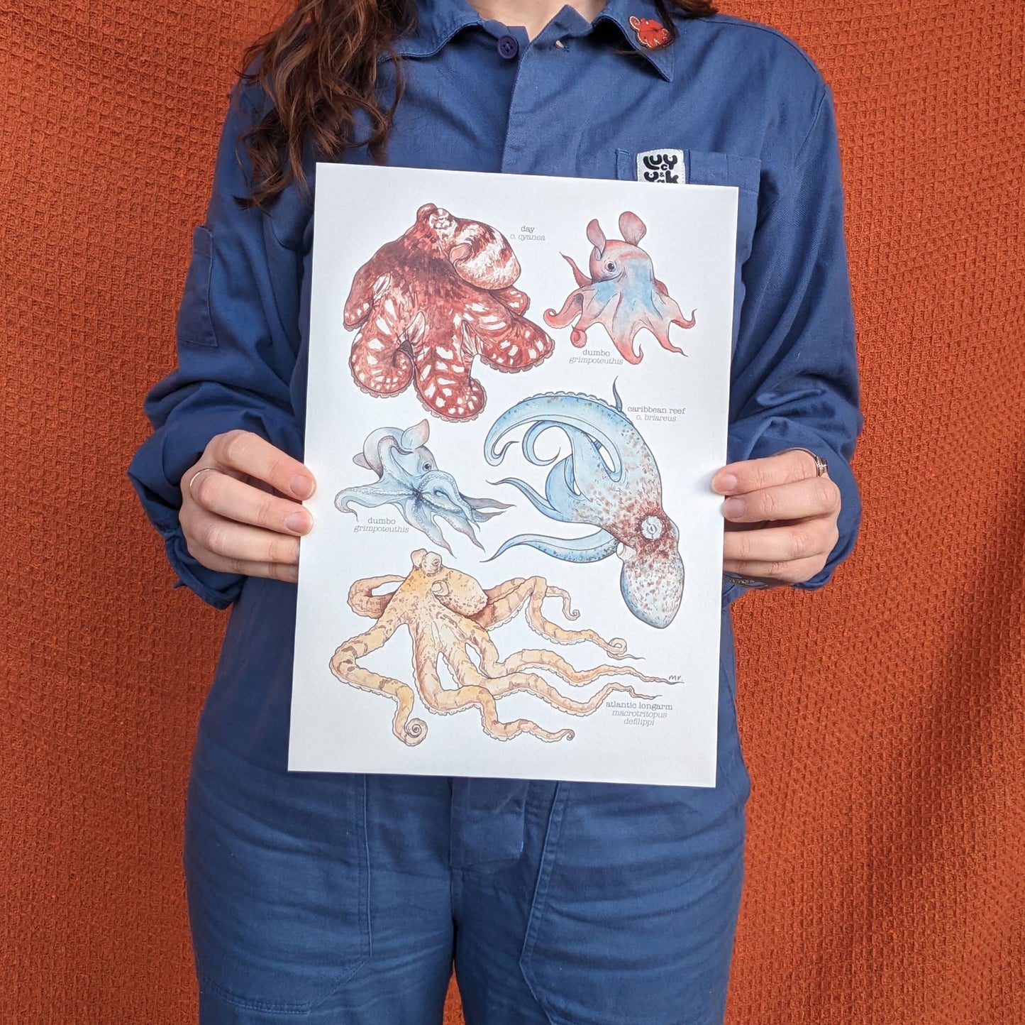 Octopus Species - Print