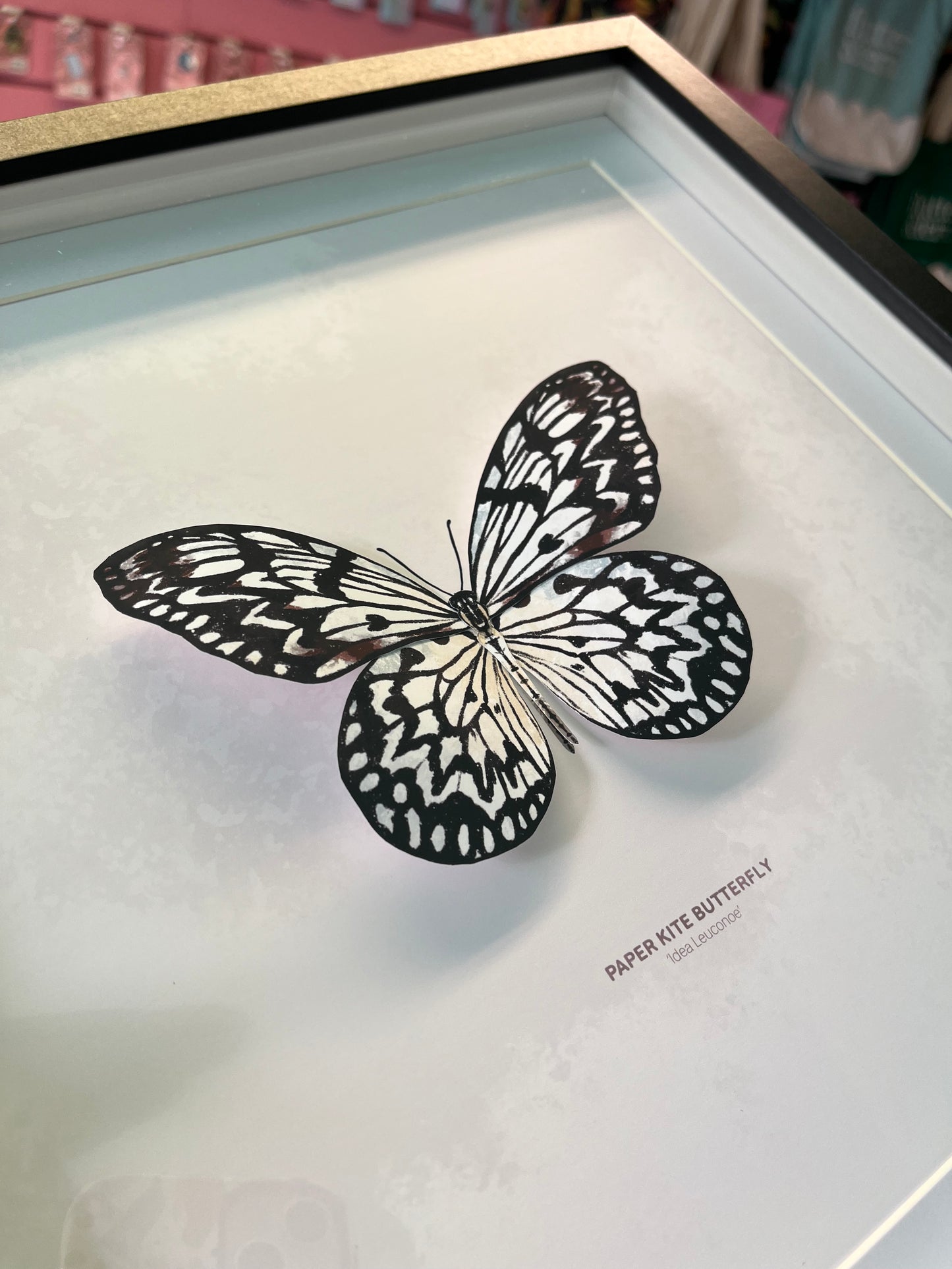 Paper Kite Butterfly - Paper Taxidermy Frame