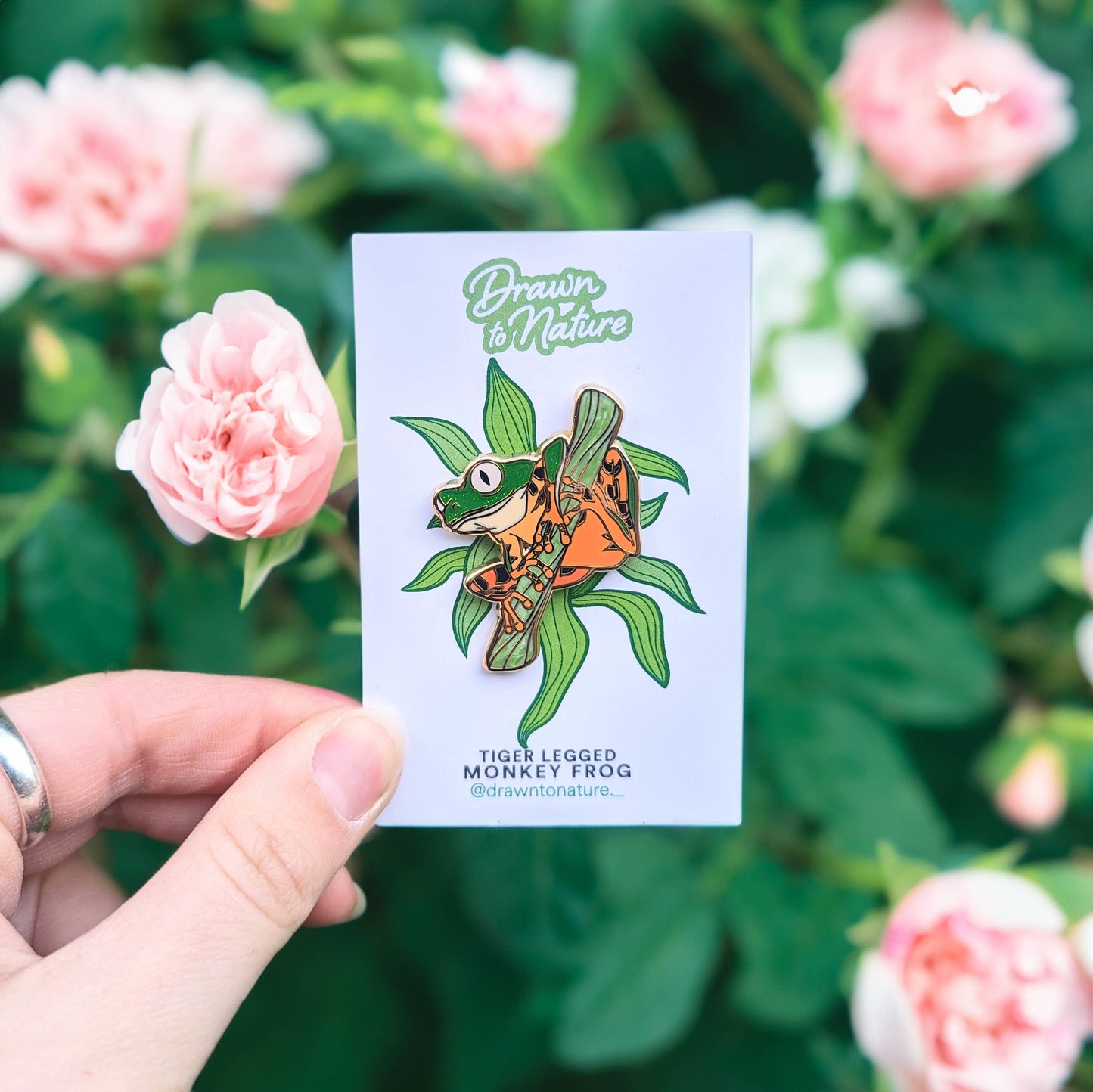 Tree Frog Enamel Pin - Tiger Leg Monkey Frog - Nature Pins