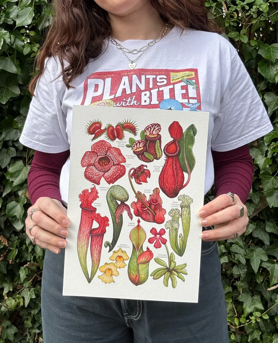 Carnivorous Plants - Print