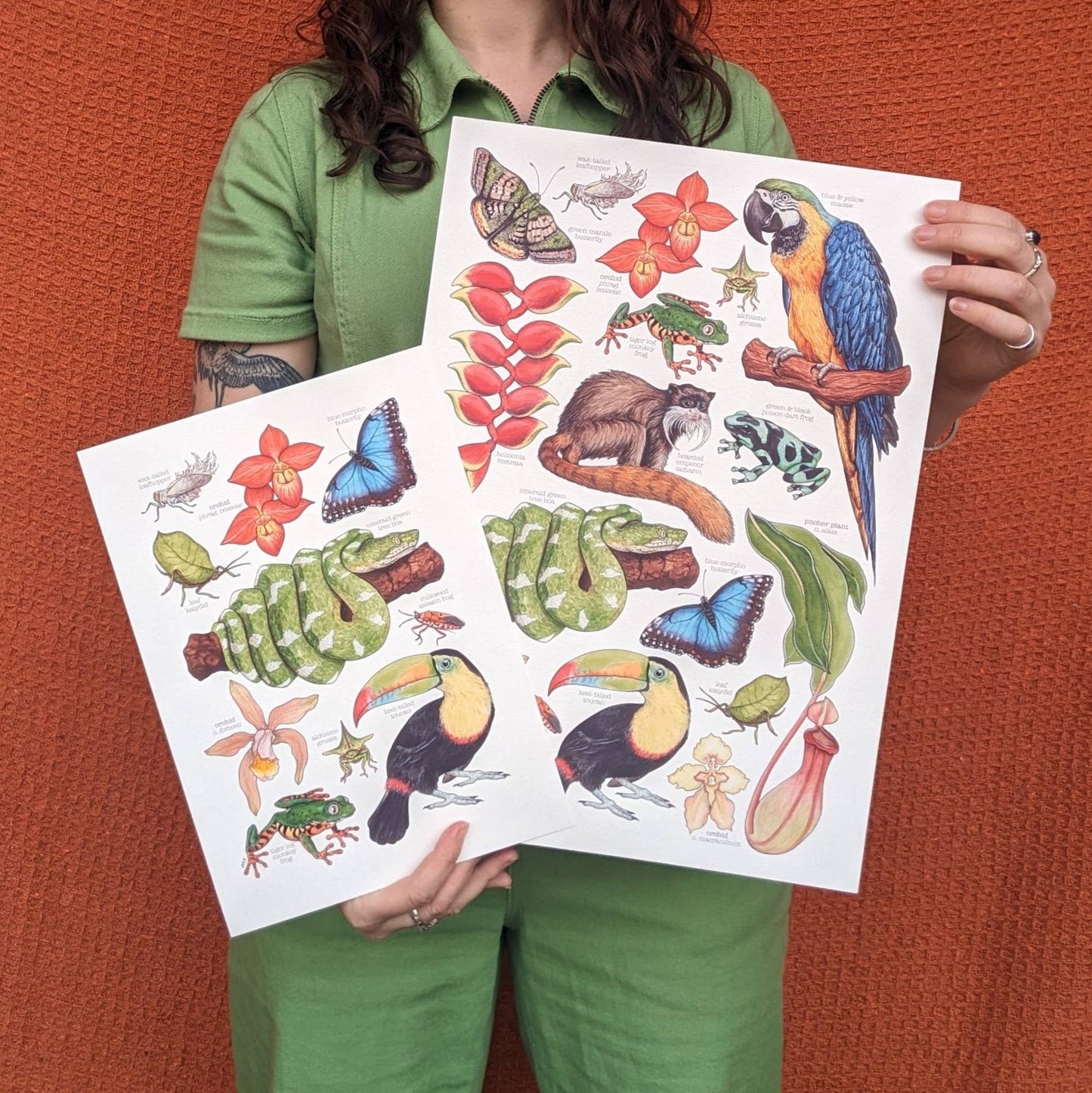 Amazon Rainforest - Print