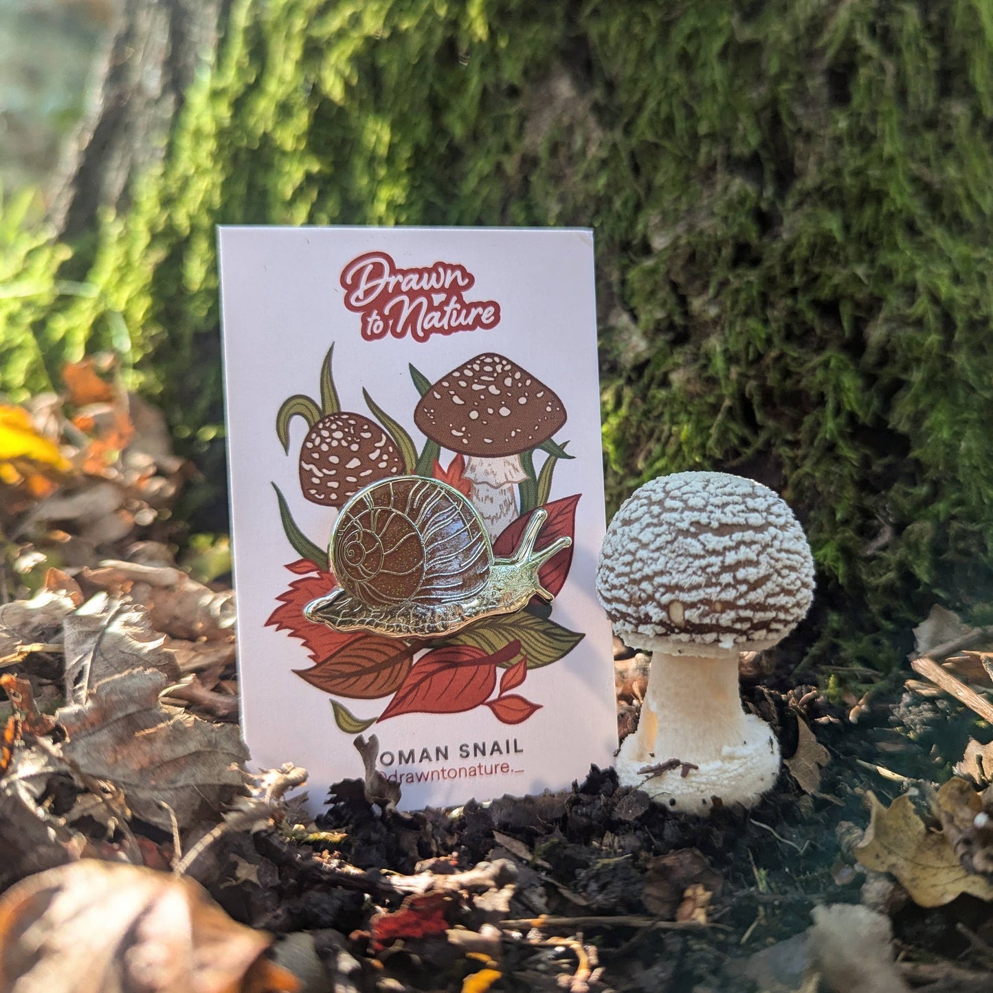 Snail - Enamel Pin