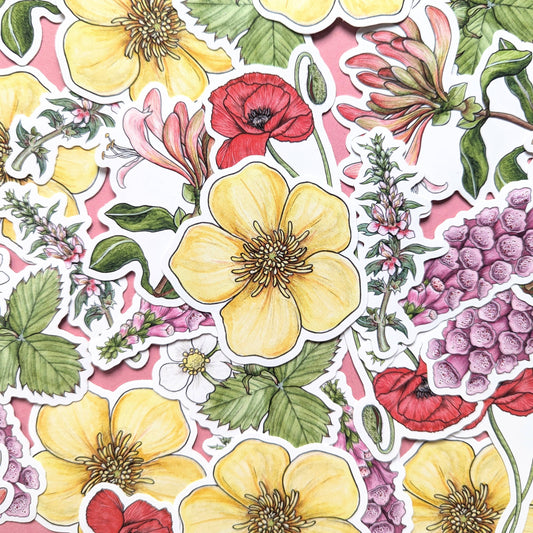 Wildflowers - Sticker Pack