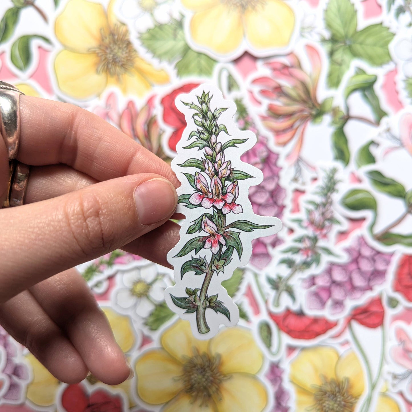 Wildflowers - Sticker Pack