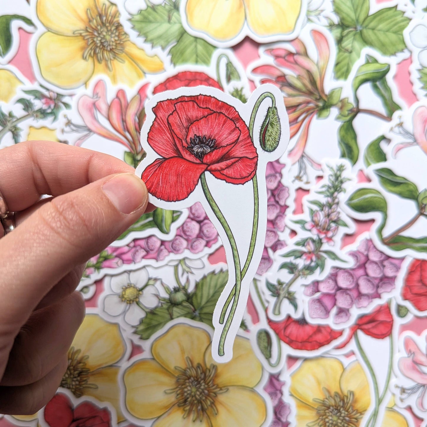 Wildflowers - Sticker Pack