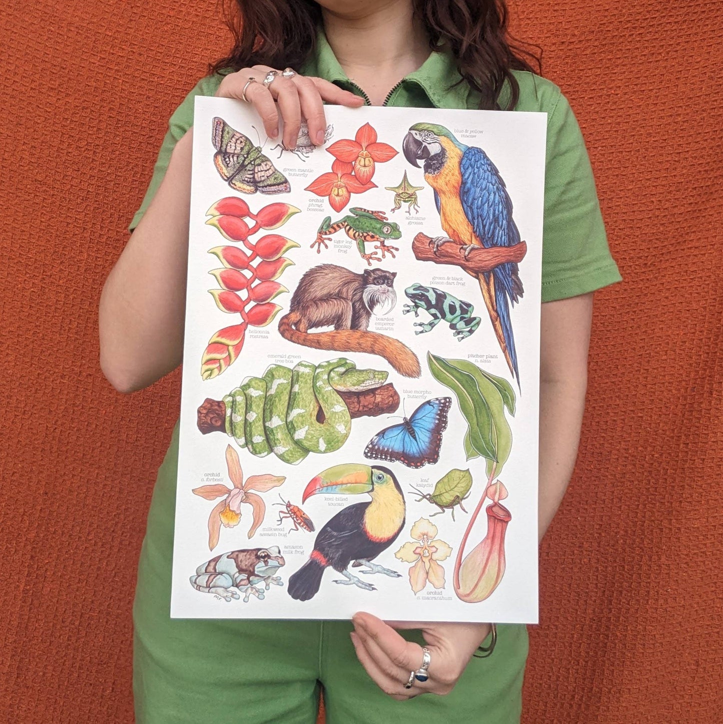 Amazon Rainforest - Print