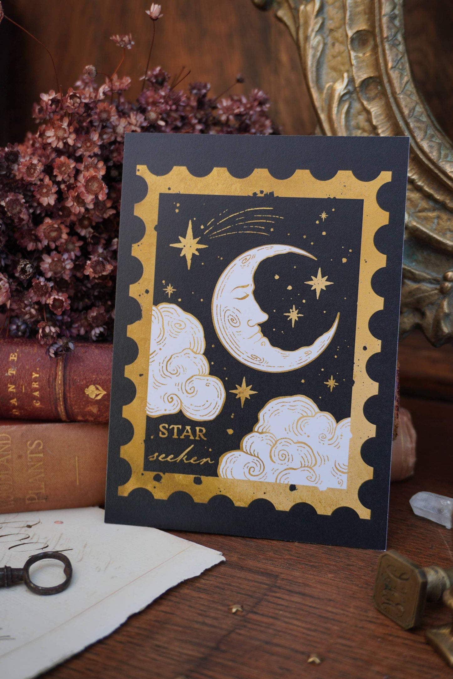 Star Seeker Celestial - Postcard