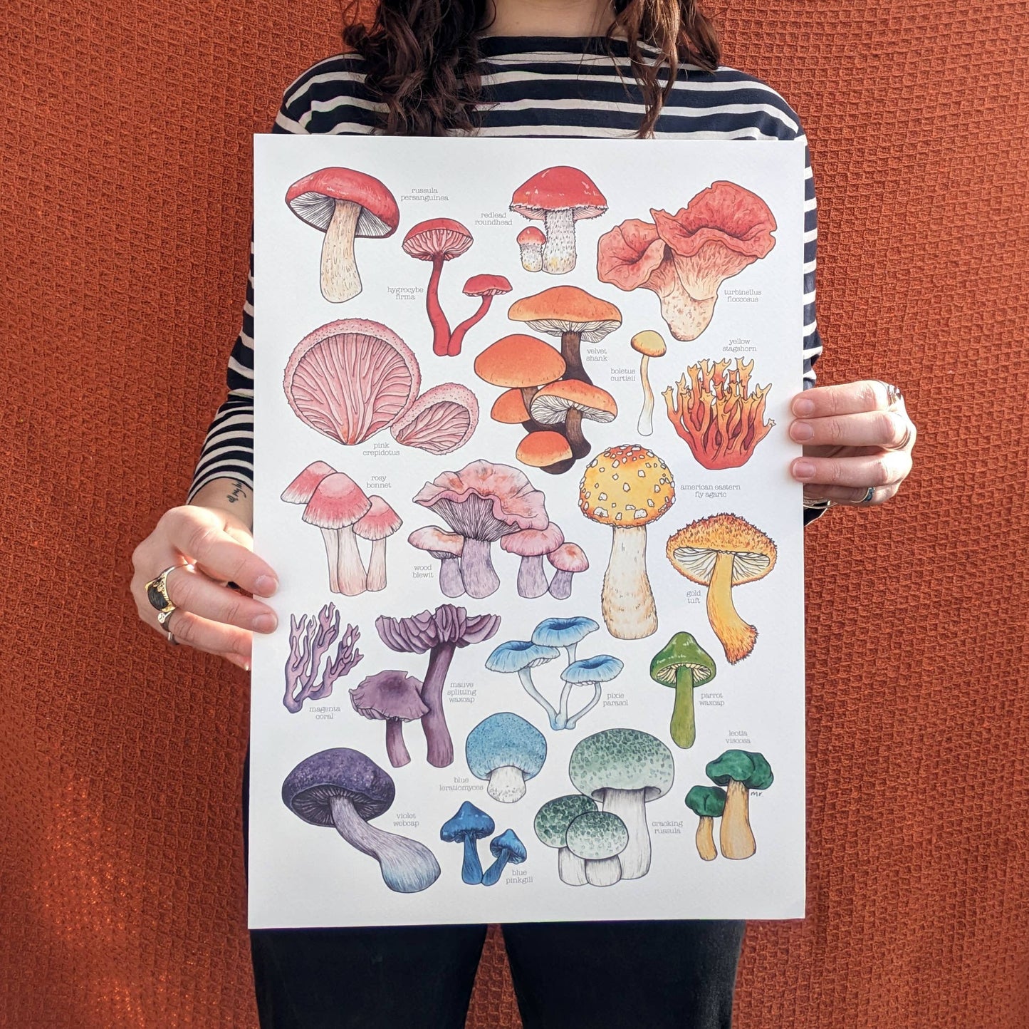 Rainbow Mushroom Print - Mushrooms Print