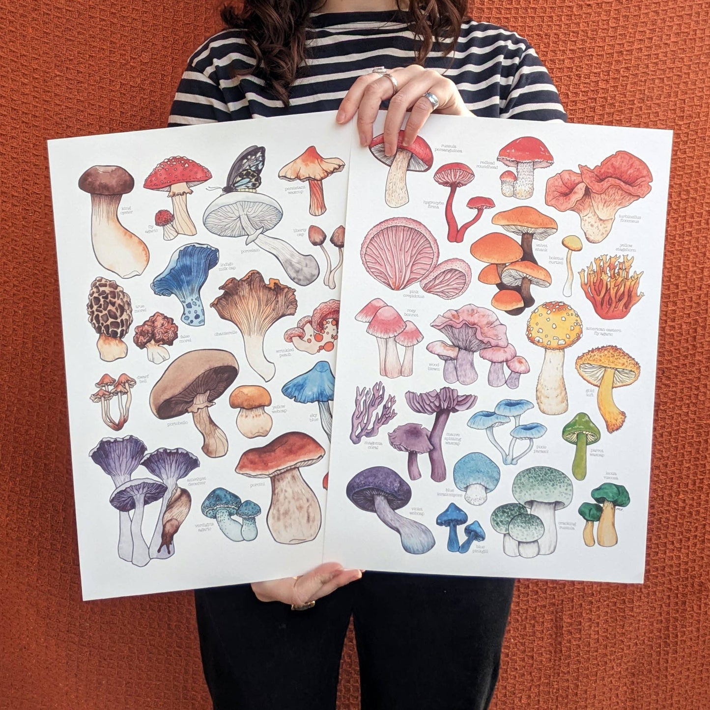 Rainbow Mushroom Print - Mushrooms Print