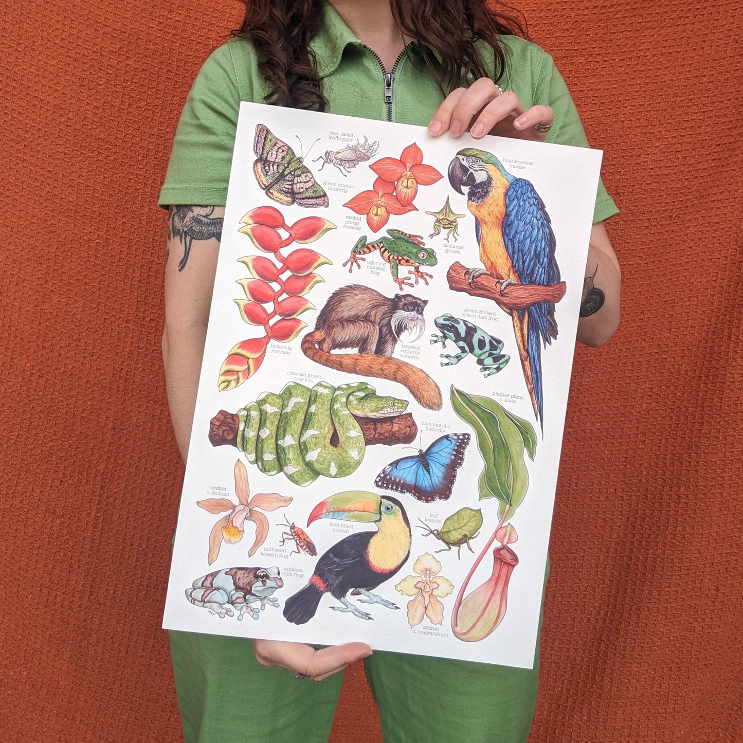 Amazon Rainforest - Print