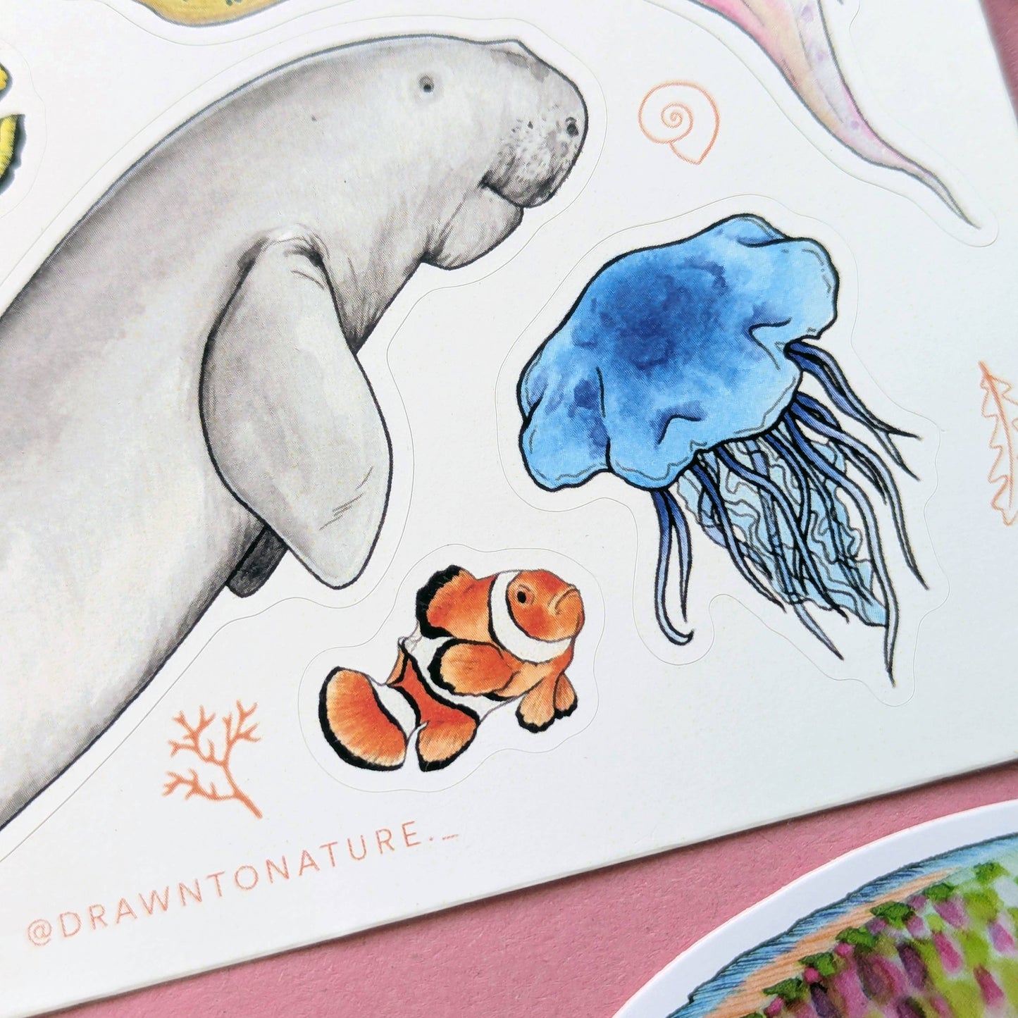 Sea Creatures - Sticker Sheet