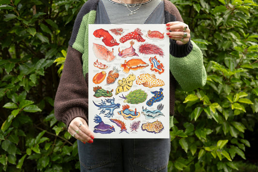Rainbow Sea Slugs - A5 Print