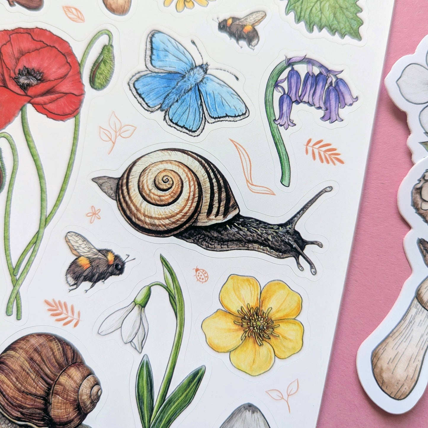 English Garden Sticker Sheet - Nature Stickers