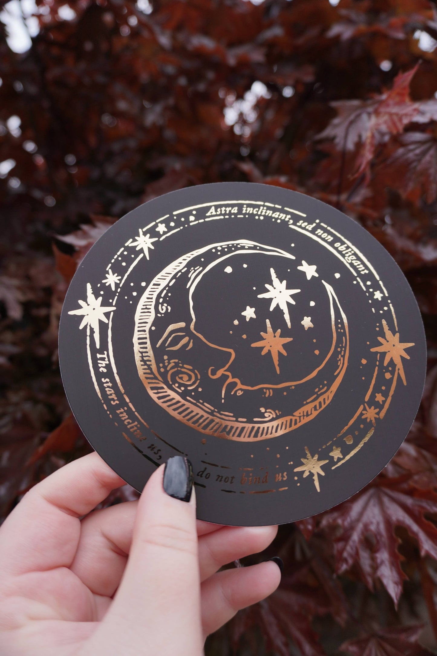 Medieval Moon - Circular Foiled Postcard