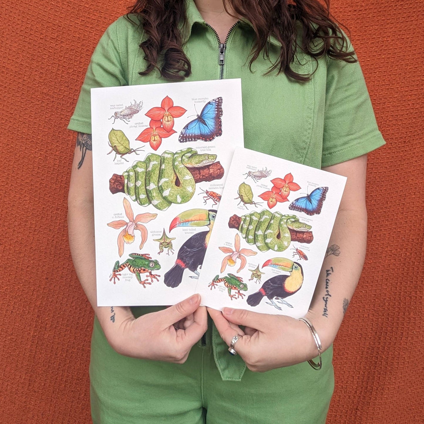 Amazon Rainforest - Print