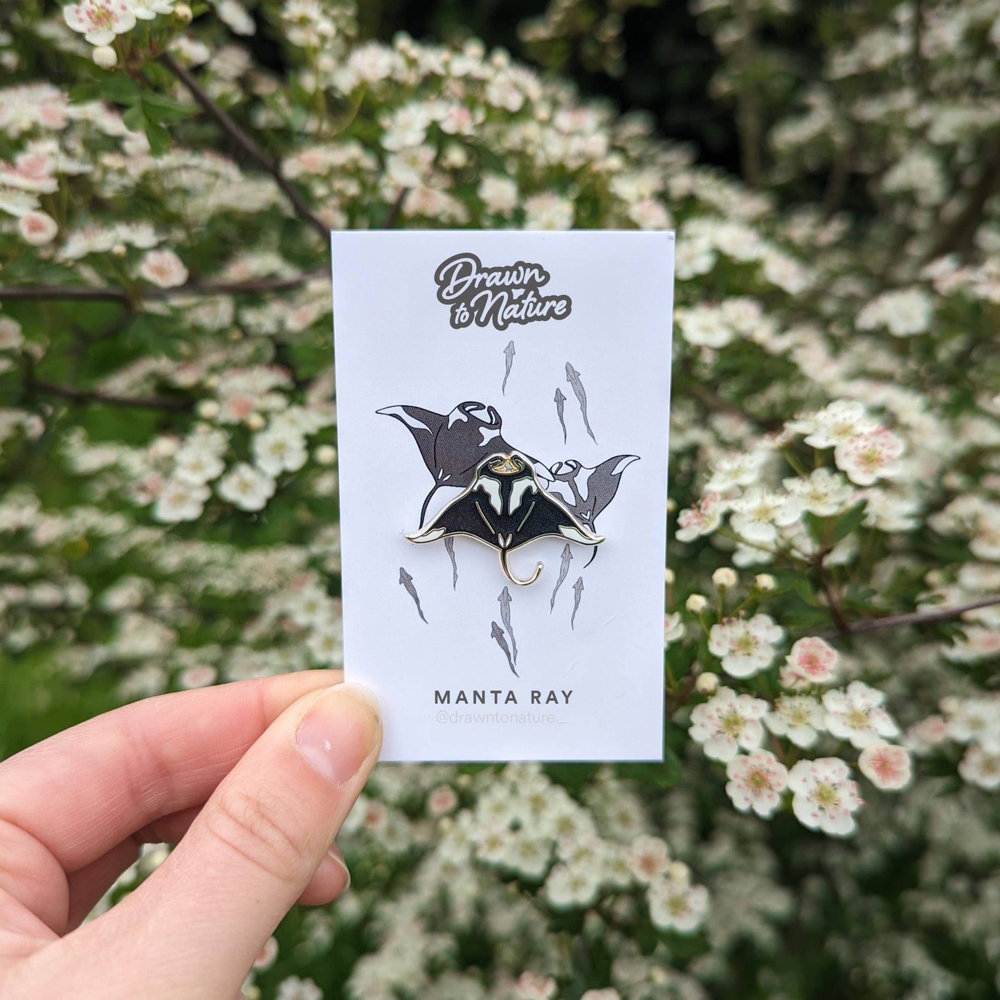 Manta Ray Pin - Sealife Pin - Ray Hard Enamel Pin