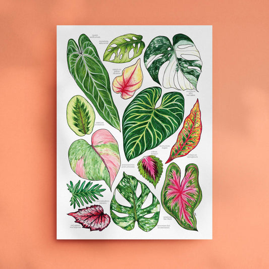 Tropical Leaves - Print