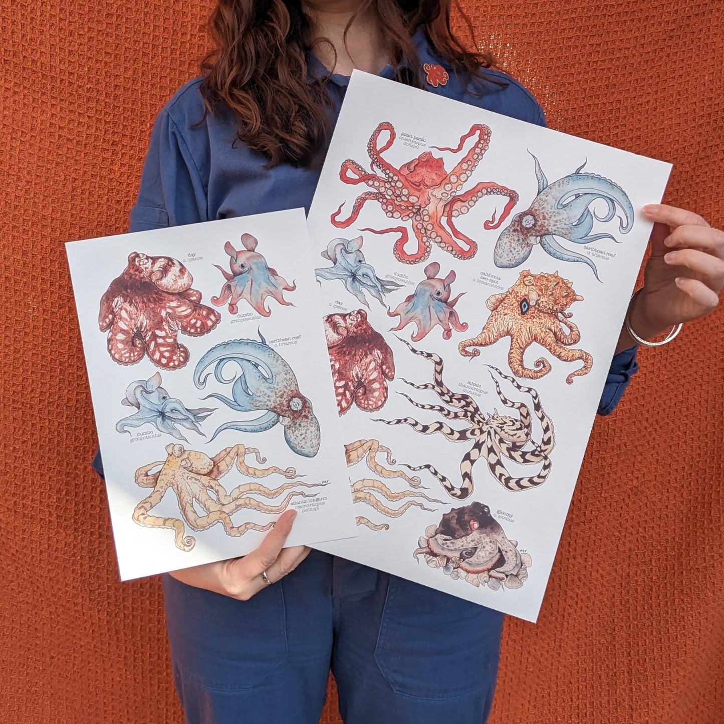 Octopus Species - Print