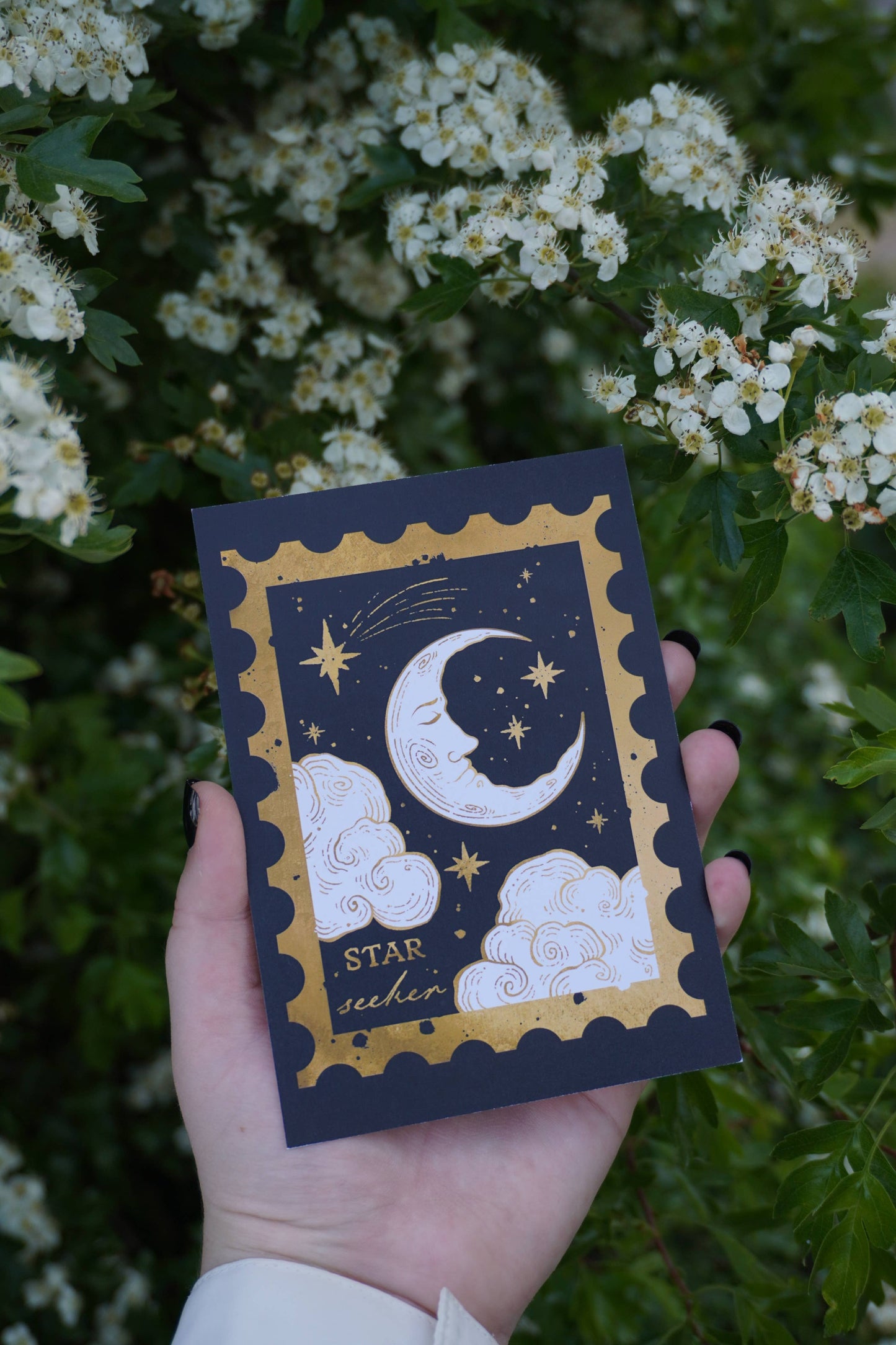 Star Seeker Celestial - Postcard