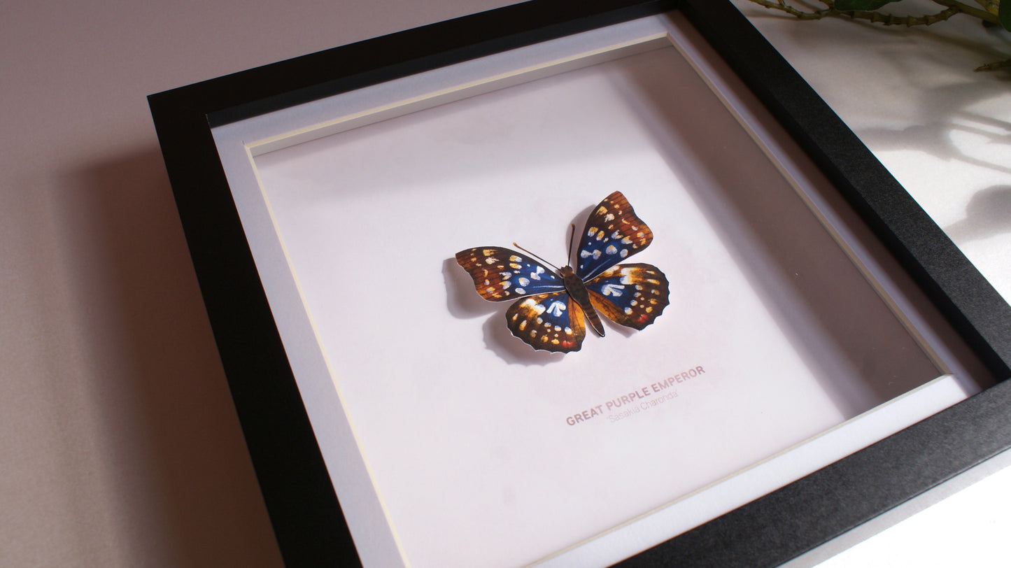 Great Purple Emperor - Paper Taxidermy Frame