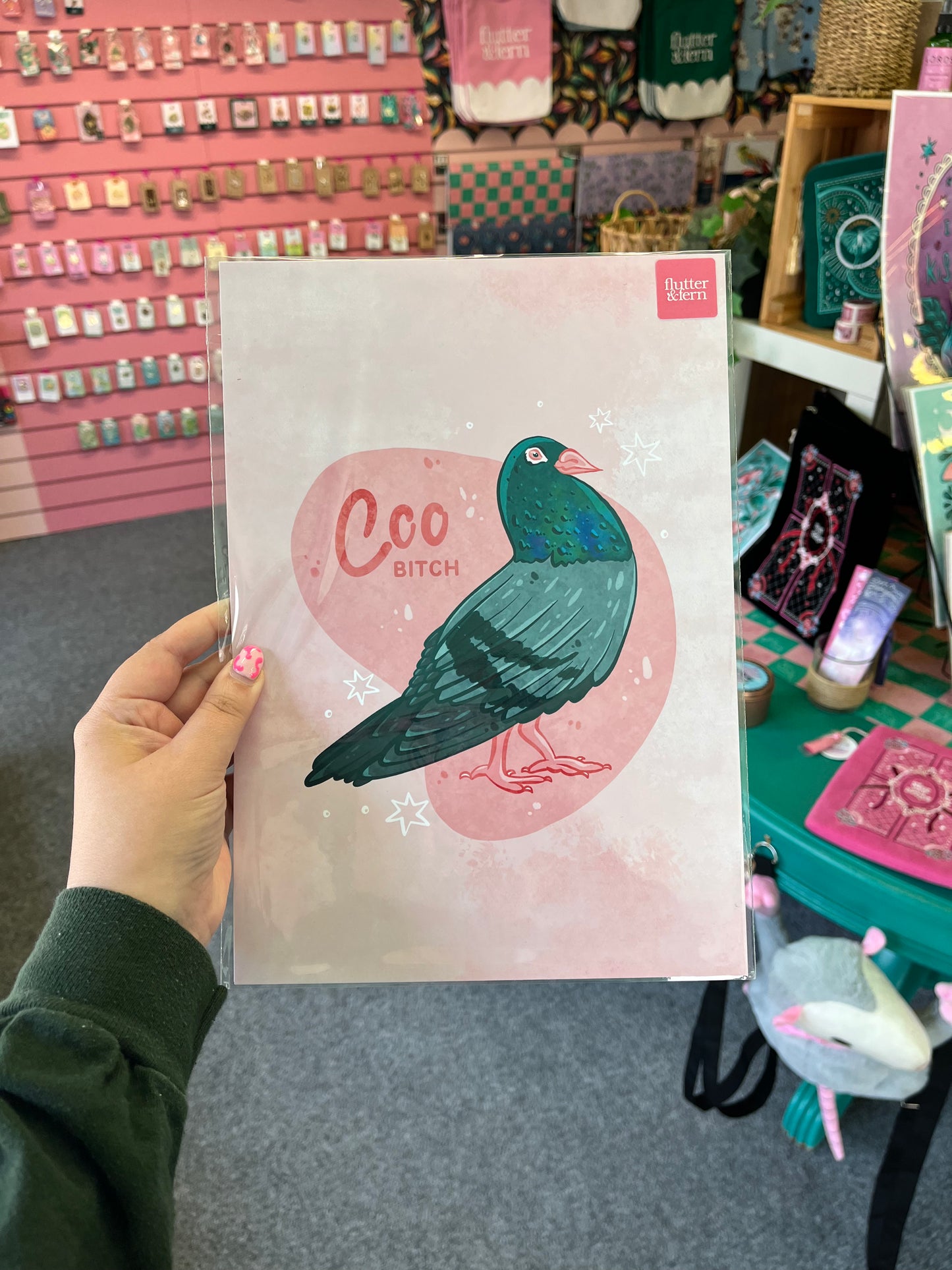 Coo Pigeon - A4 Print
