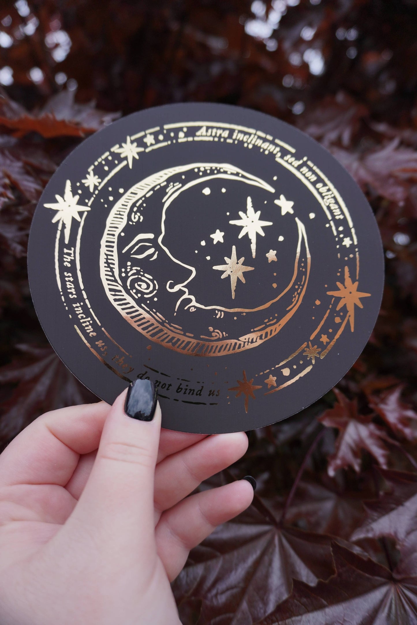Medieval Moon - Circular Foiled Postcard