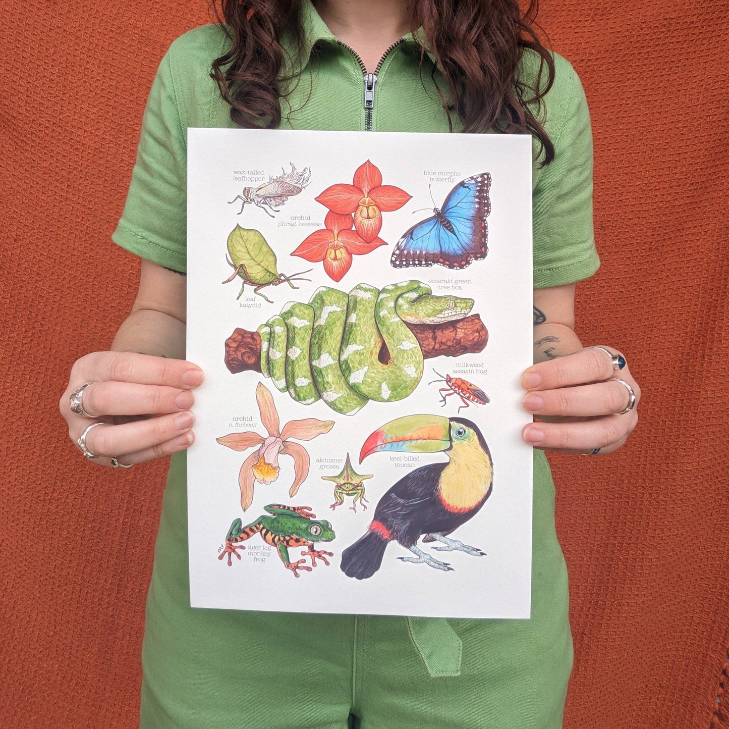 Amazon Rainforest - Print