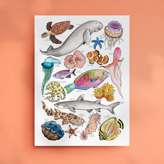 Great Barrier Reef - Print