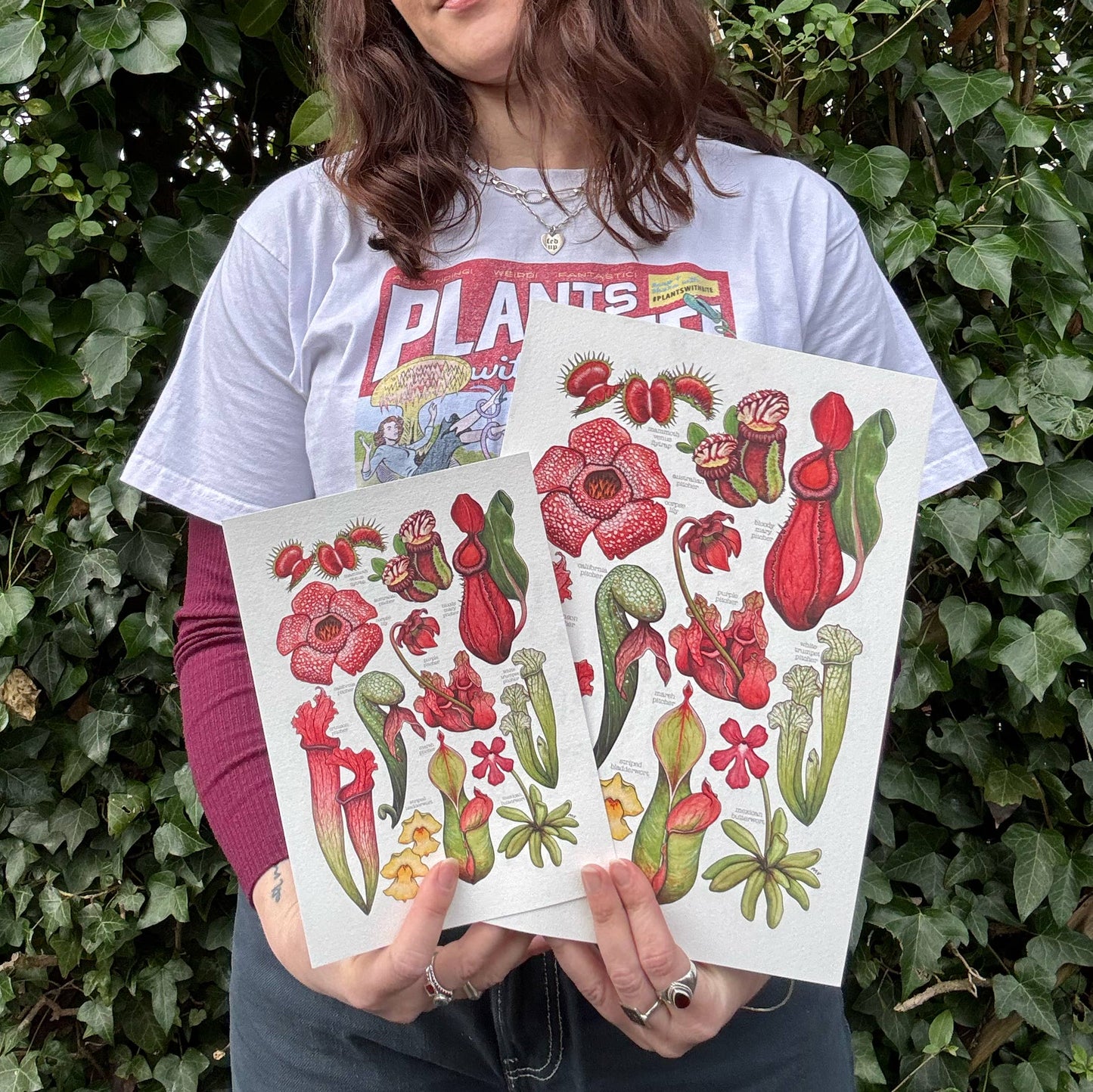 Carnivorous Plants - Print