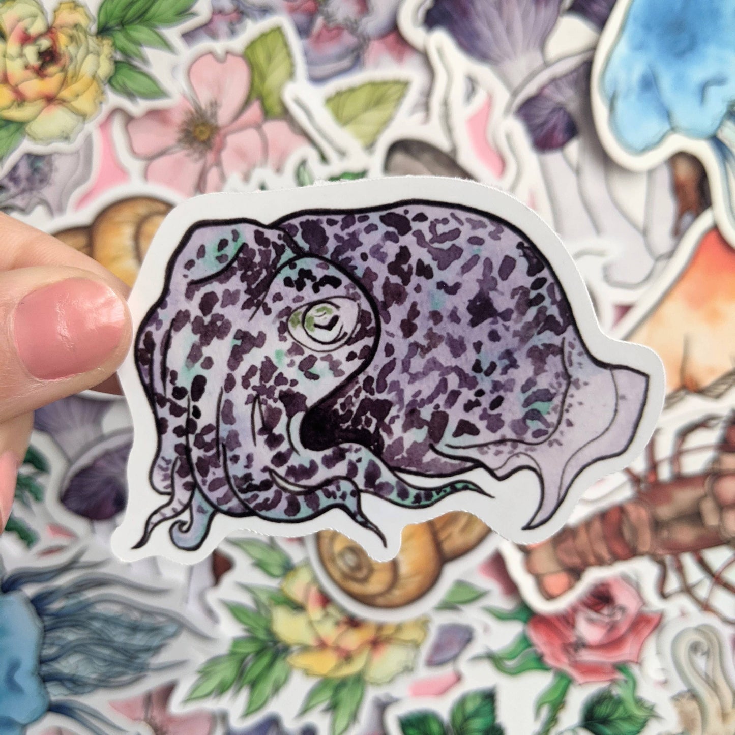 Cephalopods Sticker Pack - Octopus Stickers