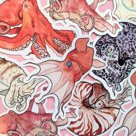 Cephalopods Sticker Pack - Octopus Stickers