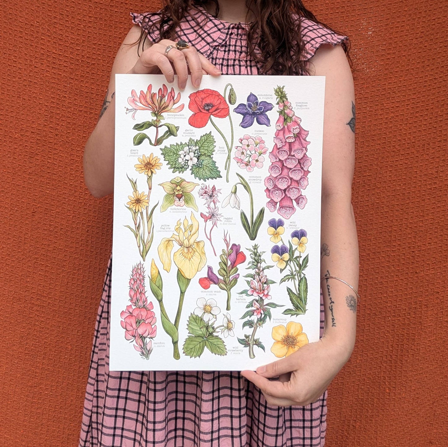 Wildflowers - Print