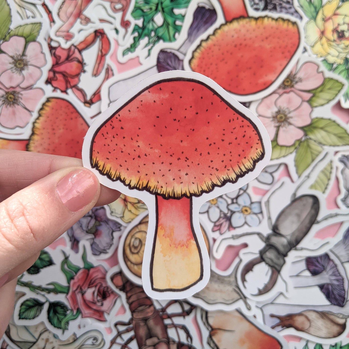 Mushroom - Sticker Pack