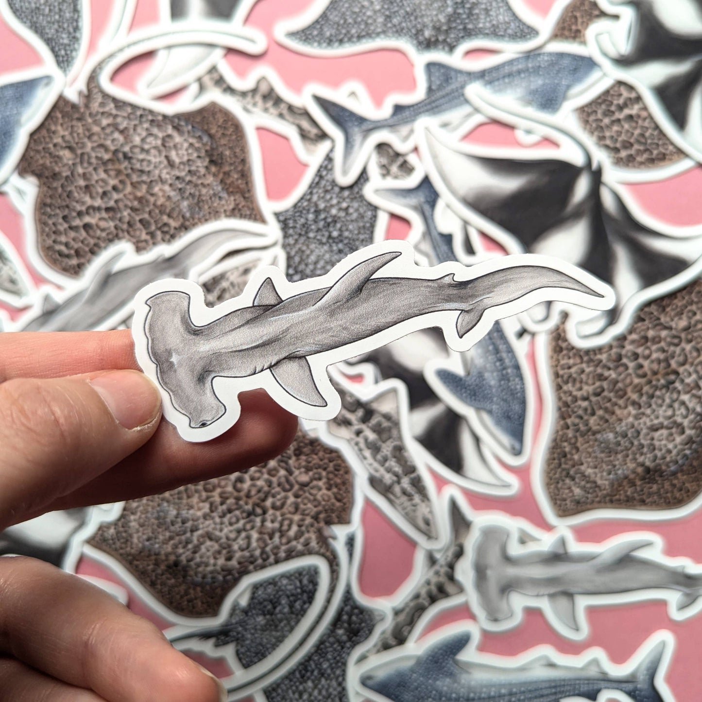 Sharks & Rays - Sticker Pack