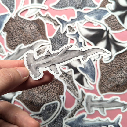 Sharks & Rays - Sticker Pack