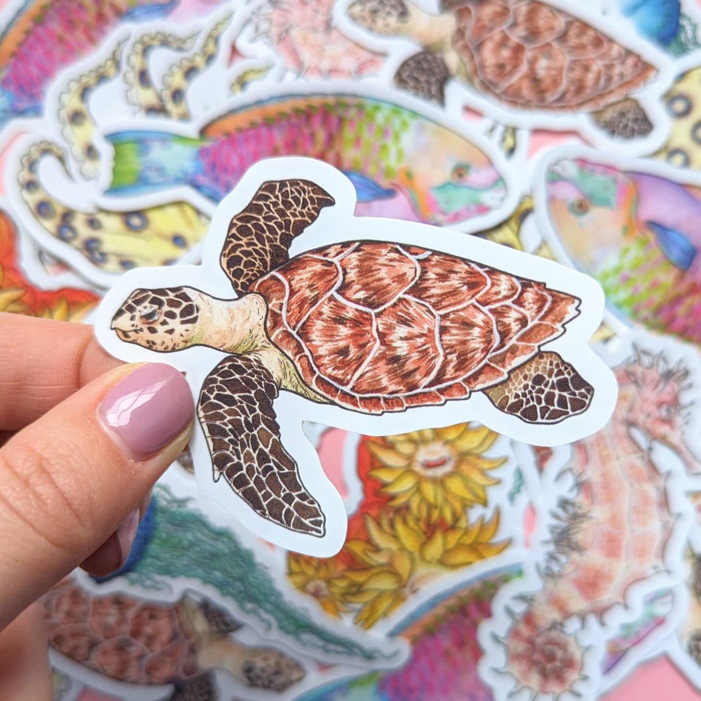 Great Barrier Reef - Stickers Pack