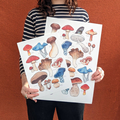 Mushrooms - Print