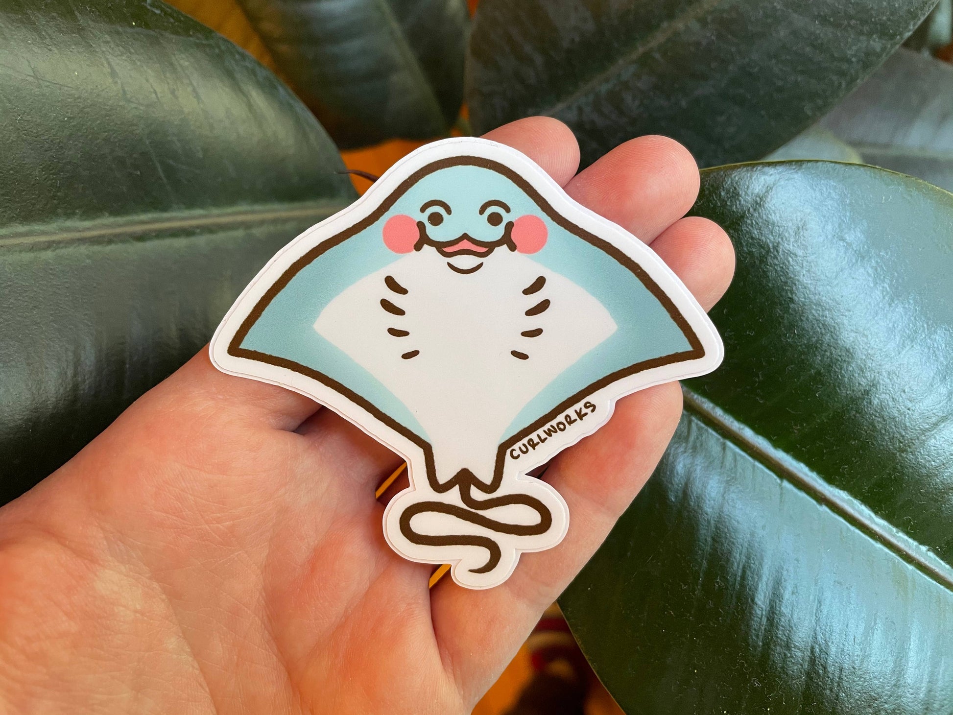 Bashful Sting Ray - Sticker