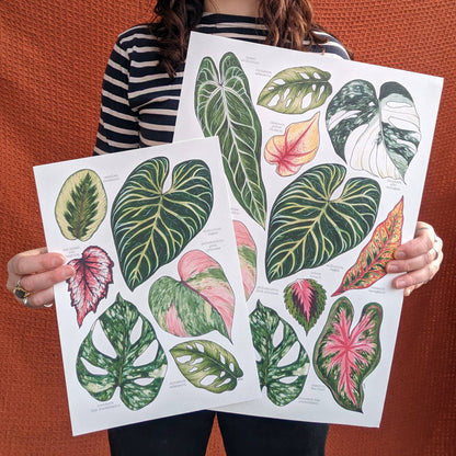 Tropical Leaves - Print