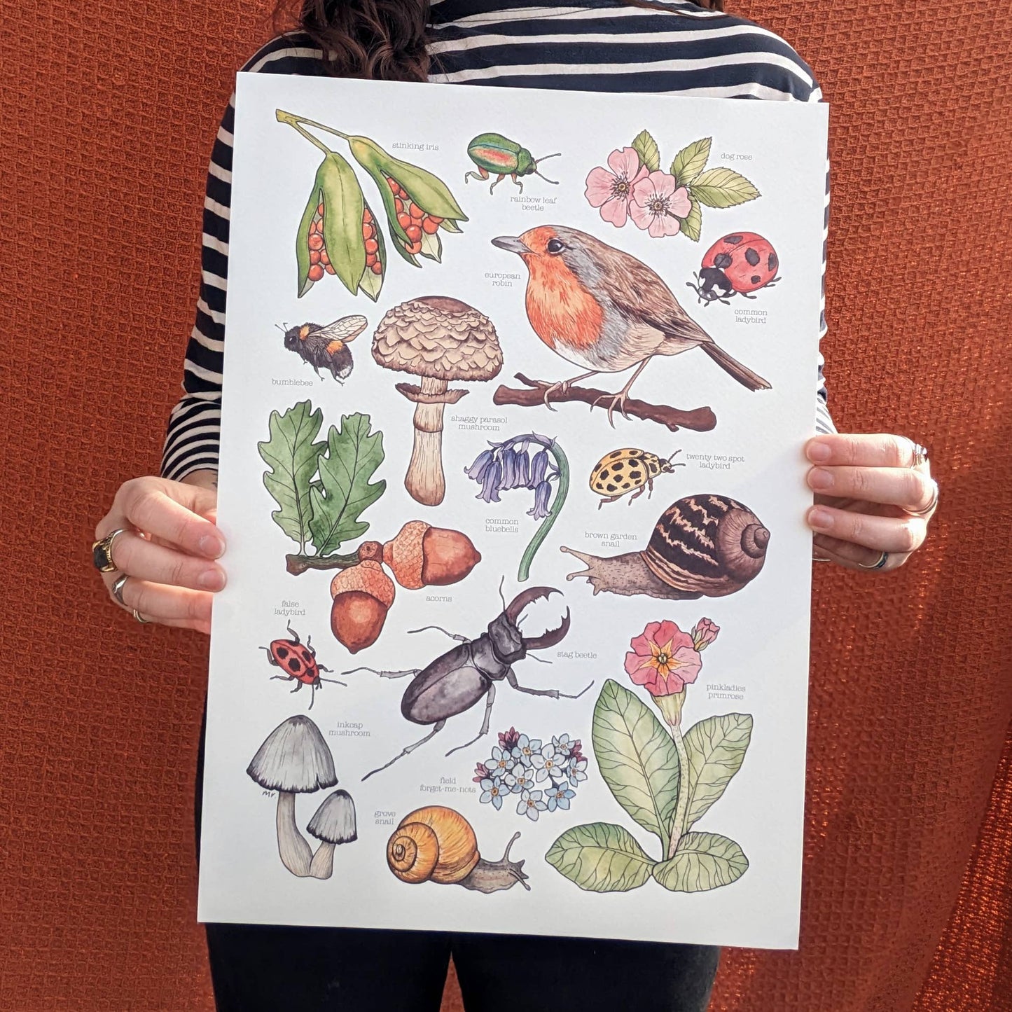 British Wildlife - Print
