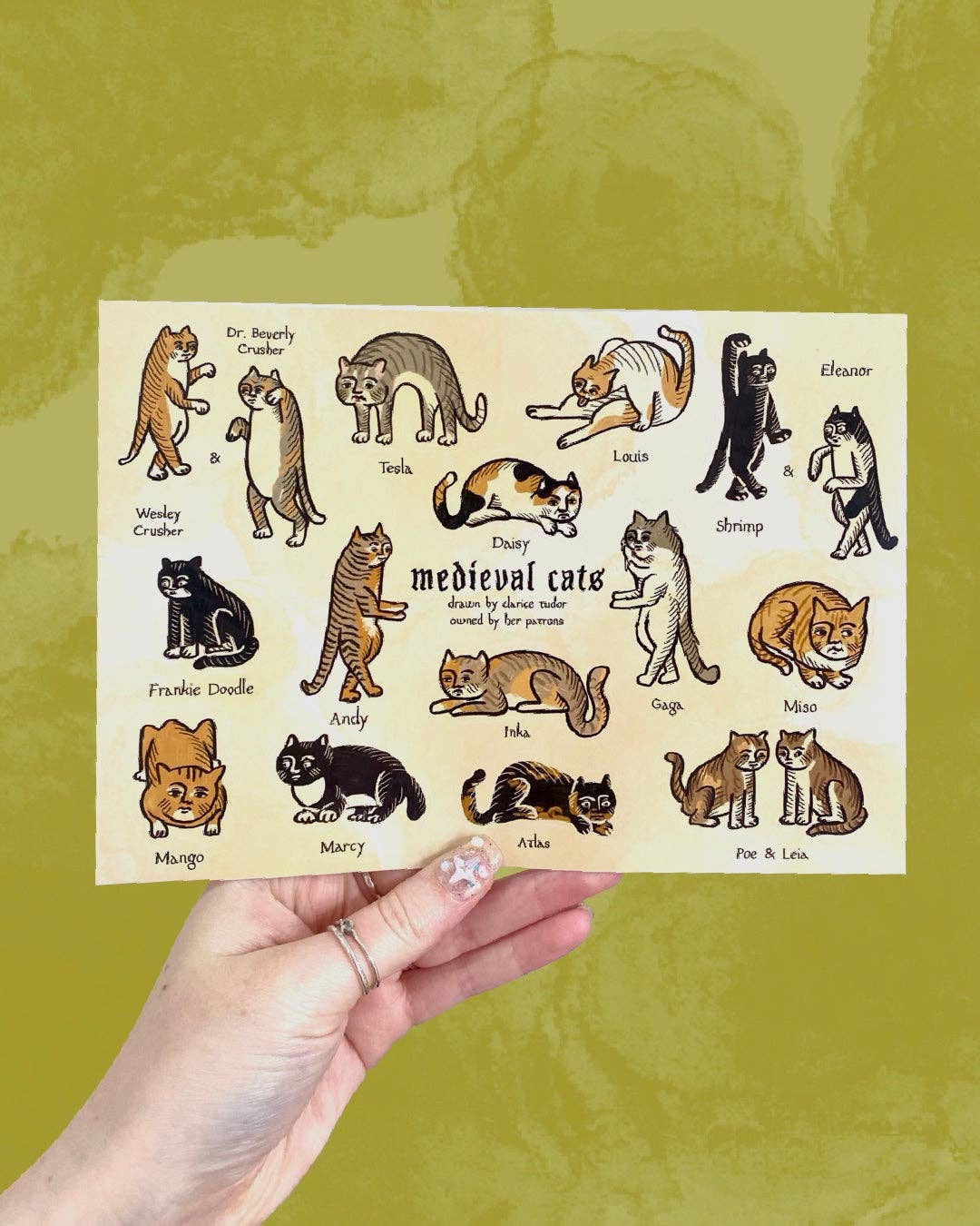 Medieval Cats - Sticker Sheet